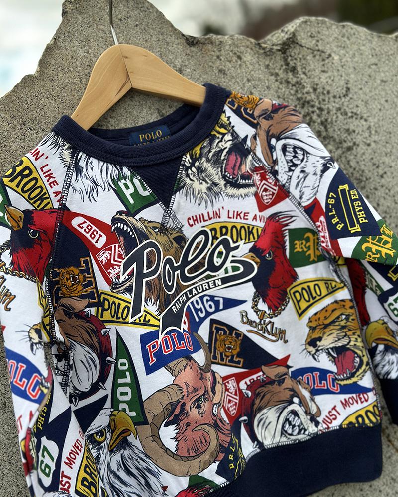 Mikina dětská Ralph Lauren barevná